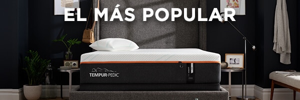 Liverpool El más popular Tempur-Pedic