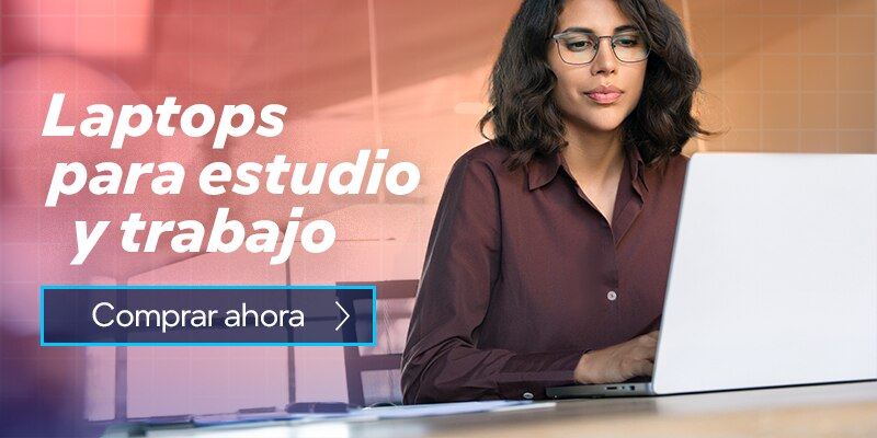 Laptops de trabajo