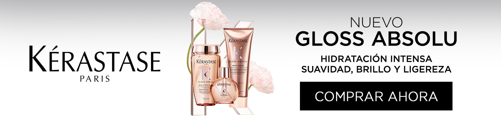 Gloss absolu