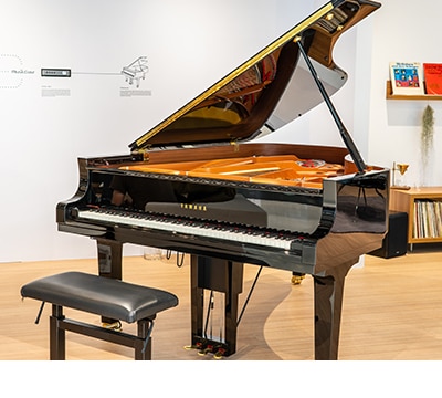 Pianos y Teclados