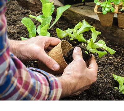 Productos para Jardín