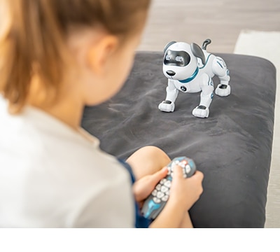 Robots de Juguete