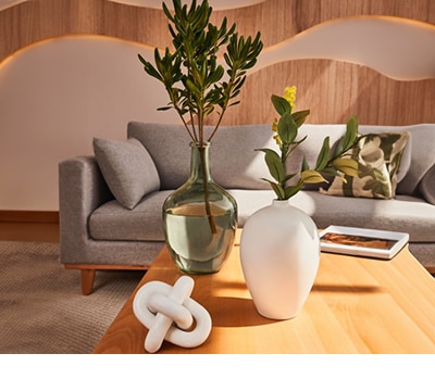 Flores y plantas