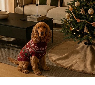 Ropa para mascotas
